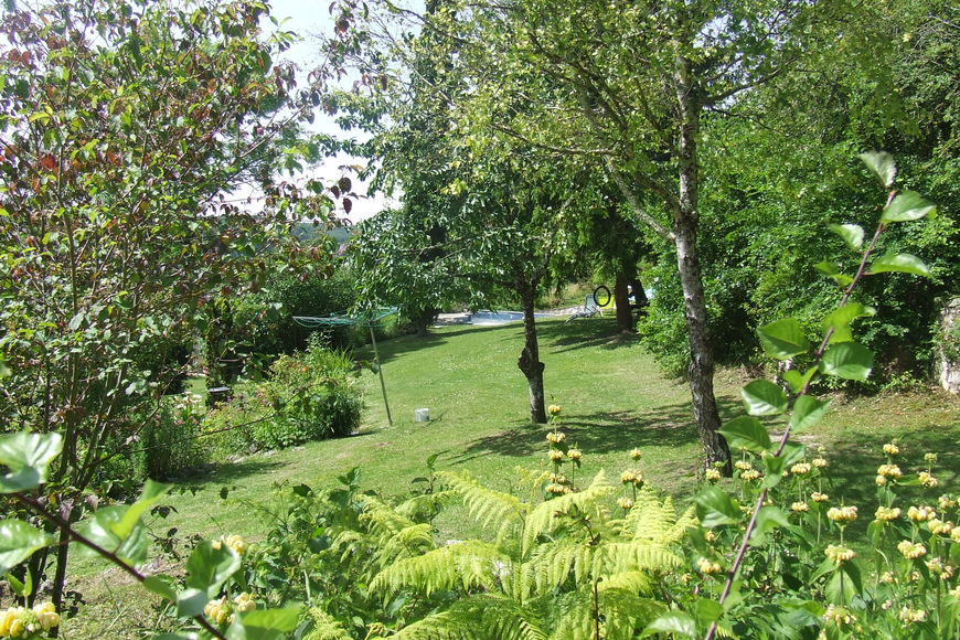Tuin met zwembad en fruitbomen